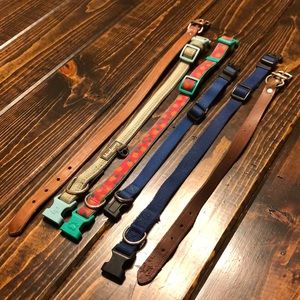 6 small/medium dog collars